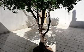 Le stanze di Ludovica